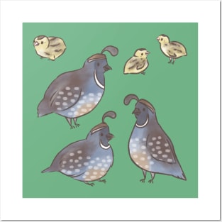 Cute Quail Posters and Art